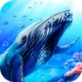 蓝鲸海洋生物模拟3D