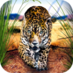 野生豹模拟器v1.0